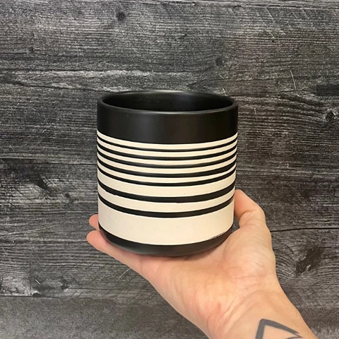 stylish pot for succulent